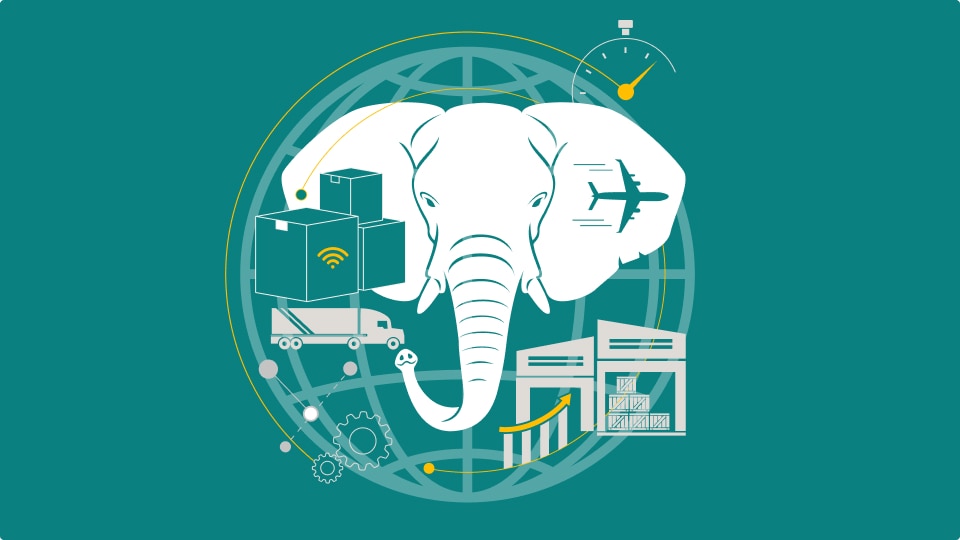 elephant in supply chain